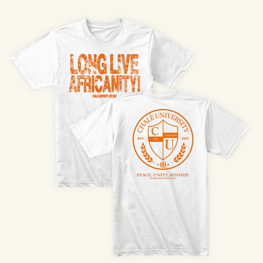 Africanity T-Shirt
